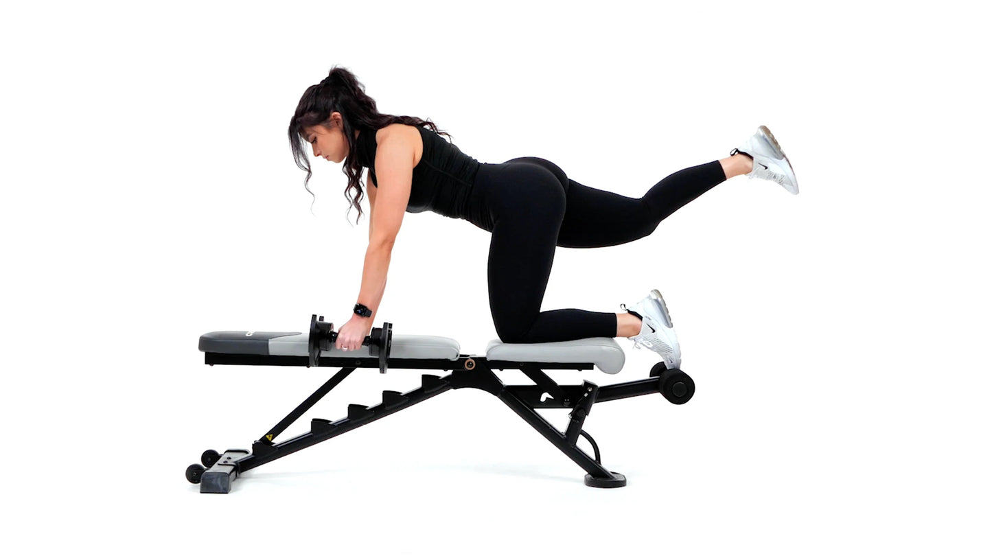 Multi-Adjustable Bench UB200